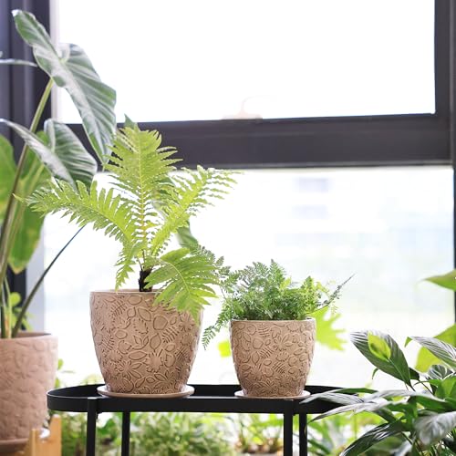 8 Inch + 6 Inch Retro Ceramic Planter Set of 2 with Drainage Hole and Saucer for Multiple Plants (2 Count)