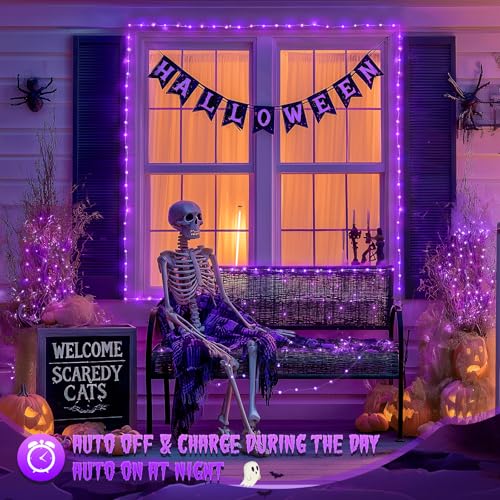 2 Pack Solar Halloween Lights (66 Foot)