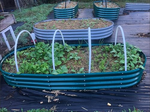 2 Pack 8x3x1FT Galvanized Raised Garden Bed Large Metal Planter Box Kit Elevated Raised Garden Planters for Outdoor Plants