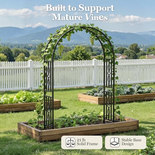 Metal Garden Arch