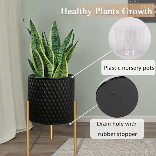 Plants Pots with Stand (2 Count)