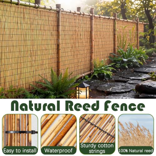 1 Pcs 3 x 30 ft Reed Fence Roller