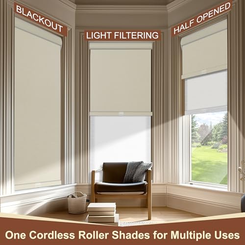 Cordless Dual Roller Shades.Beige and White.62 W x 64" H