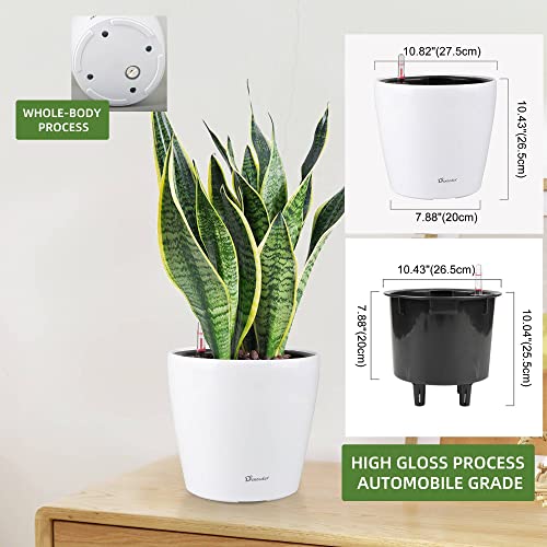 11x10 Self Watering Planter