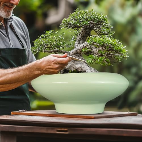 Ceramic Bonsai Pots