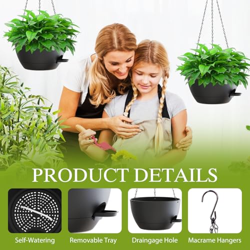 10 Inch Hanging Baskets 2 PC with Chains (2 Count)
