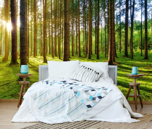 Sunshine Green Forest Woodland Wallpaper Wall Mural