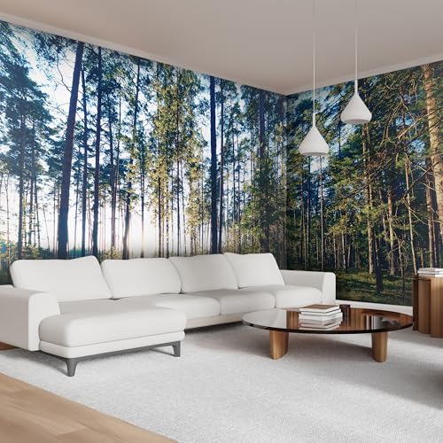 Premium Wall Mural Wallpaper (11 Count)