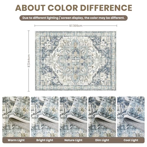 8x10 Area Rugs for Living Room