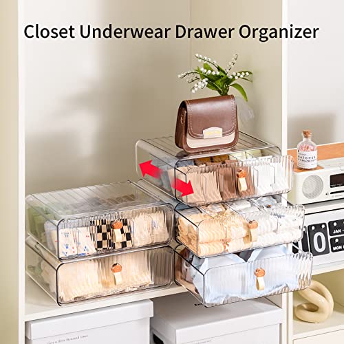 Underwear Drawer Organizer