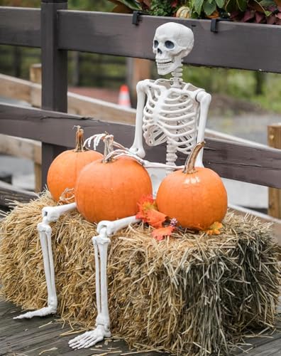 2 Pack 36" Halloween Skeleton