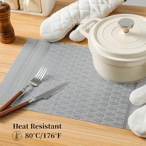 Lunar Grey Placemats Set of 12 (12 Count)
