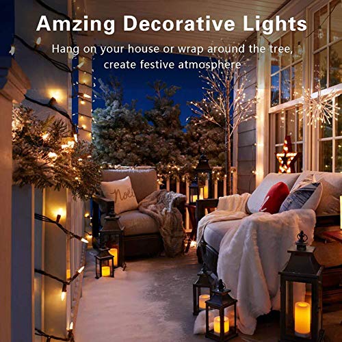 Christmas Lights (26 Foot)