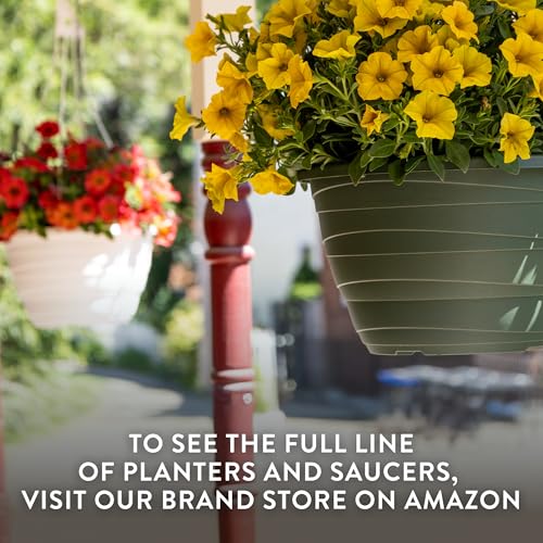 Wrapt Hanging Planters