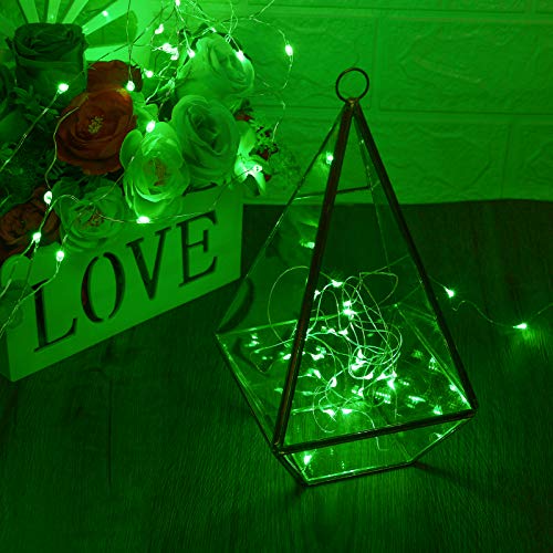 Waterproof LED Fairy String Lights (10 Foot)