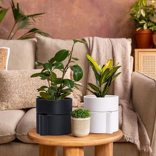 6.5 Inch Self
