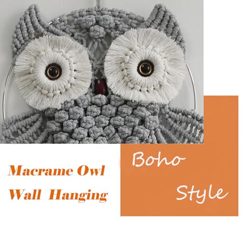 Owl Macrame Wall Hanging
