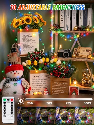 2 Pack 100 LED Fairy Lights Battery Operated with Remote