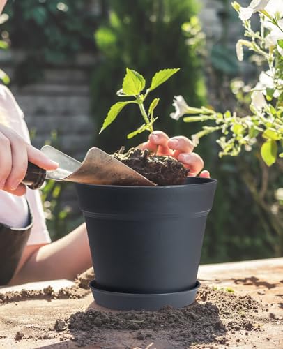 7.5 Inch Plastic Flower Pots with Drainage Holes and Trays (8 Count)