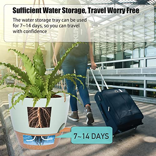 8 inch Hanging Planters (2 Count)
