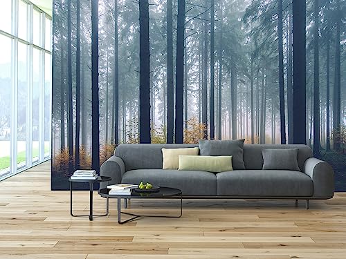 Dark Forest Wall Mural Woodland Landscape Wallpaper for Bathroom