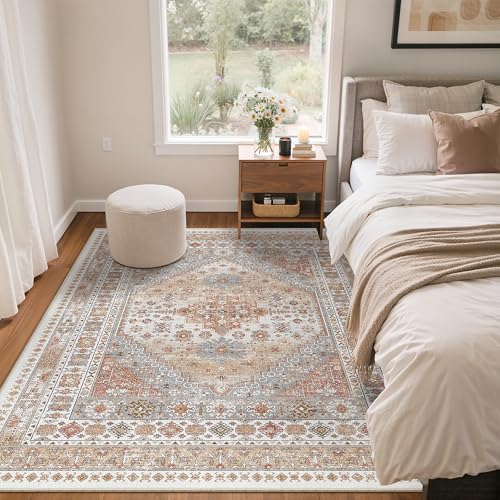 4x6 Area Rug for Entryway