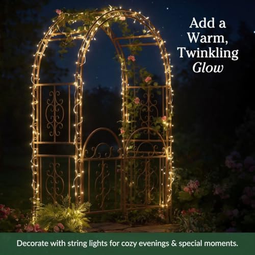 Arch Metal Outdoor Garden Arbor Double Gate