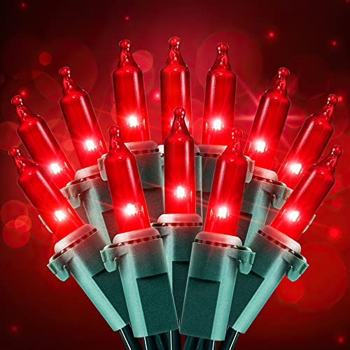 Red Christmas Mini Lights (2 Count)