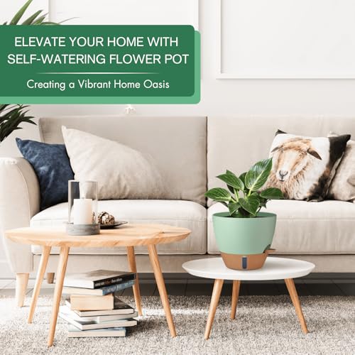 2 Pack 10 inch Plant Pots (2 Count)