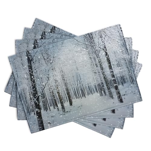 Winter Placemats Set of 4 Snowy Forest Table Place Mats (4 Count)