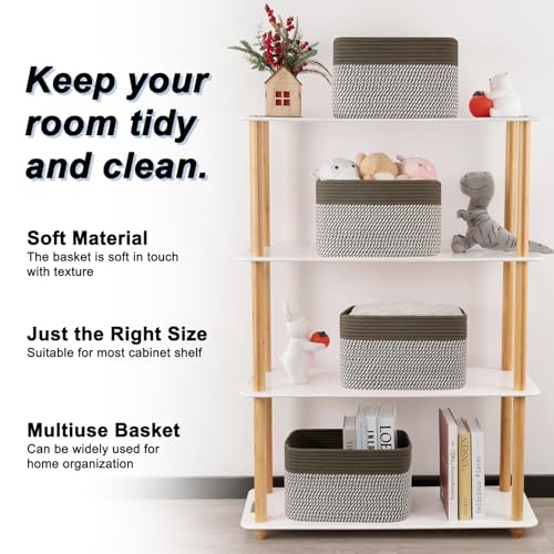4 Pack Storage Baskets for Organizing (4 Count)