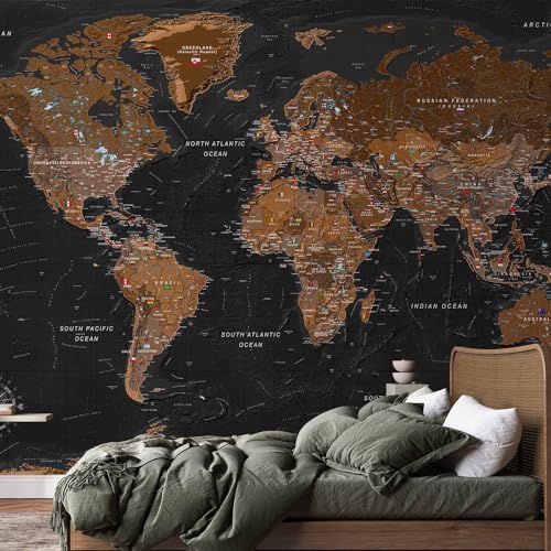 Wall Mural World Map 154x110 in (118.18 Sq Ft)