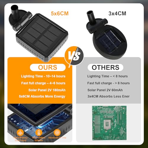 Solar Lights Outdoor (4 Count)