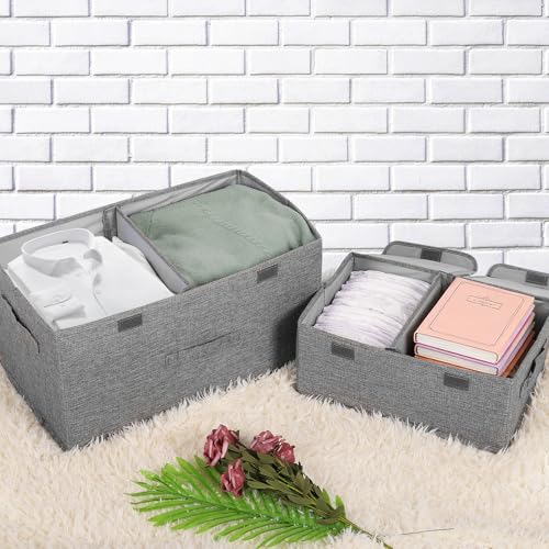 2 Pack Storage Boxes with Lids and Handles (2 Count)