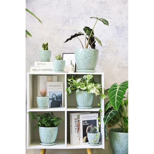 8 Inch + 6 Inch Plant Pots for Indoor Plants (2 Count)