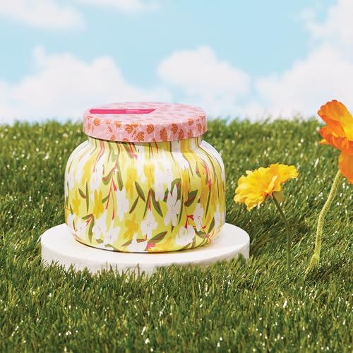 Scented Candles (19 Ounce)