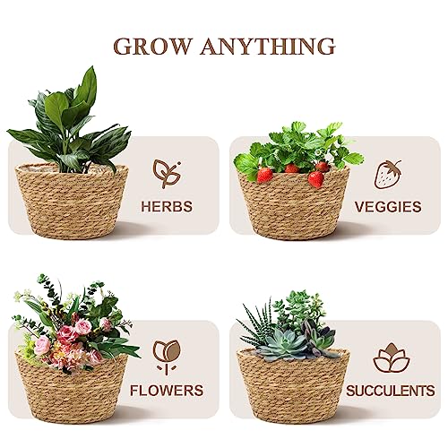 Woven Plant Basket Set of 3 with Plastic Liner (3 Count)