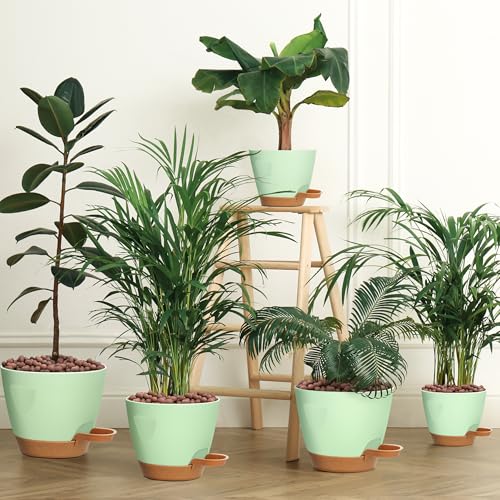5 Pack Plant Pots with Drainage 7 (5 Count)