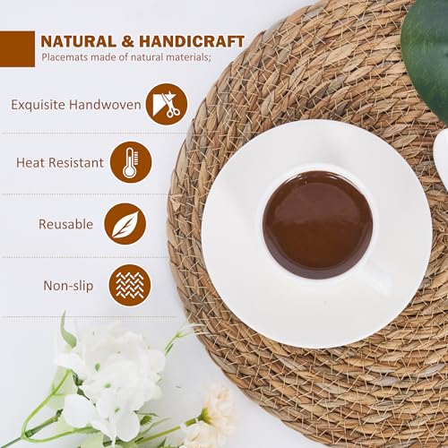 Defined Deco Woven Placemats Set of 10 (10 Count)