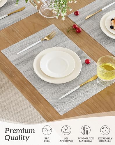 Lightsteel Black Placemats Set of 8 (8 Count)