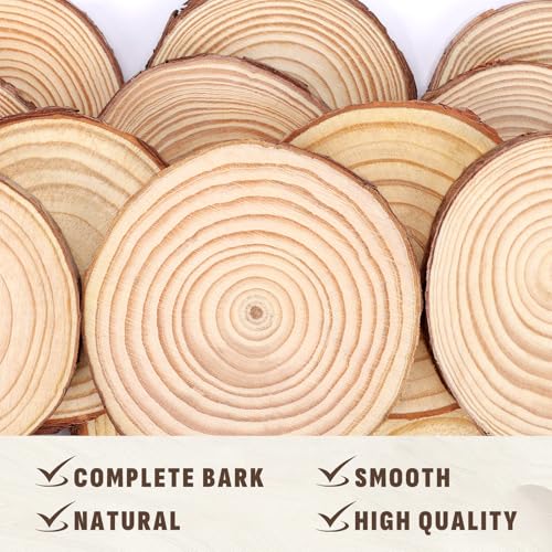 Unfinished Natural Wood Slices 3.5 (10 Count)