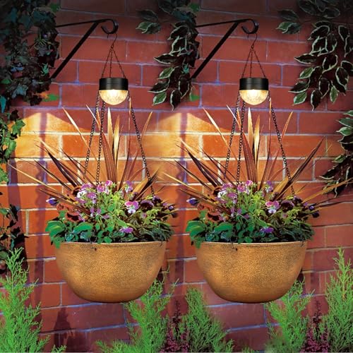 2 Pack Solar Hanging Planters for Plants Outdoor (2 Count)