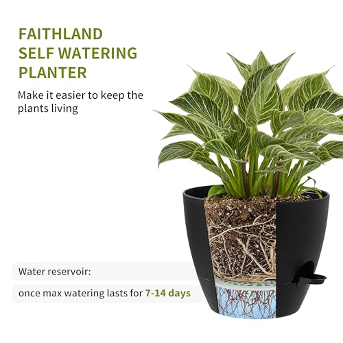 3 Pack Large Planter Pots (3 Count)