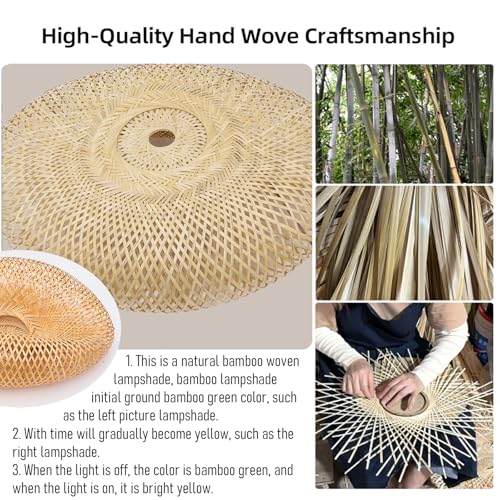 23.6" Bamboo Pendant Light