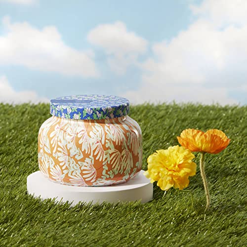 Scented Candles (19 Ounce)