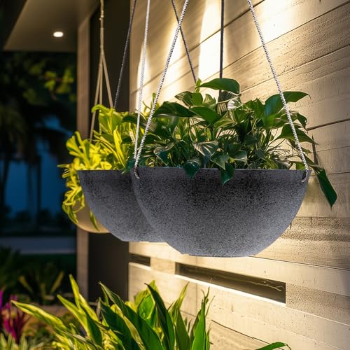 Large Hanging Planters for Outdoor Plants (2 Count)