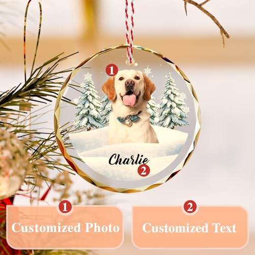 Custom Pet Christmas Ornament with Photo