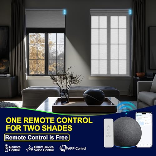 Motorized Blinds with Remote