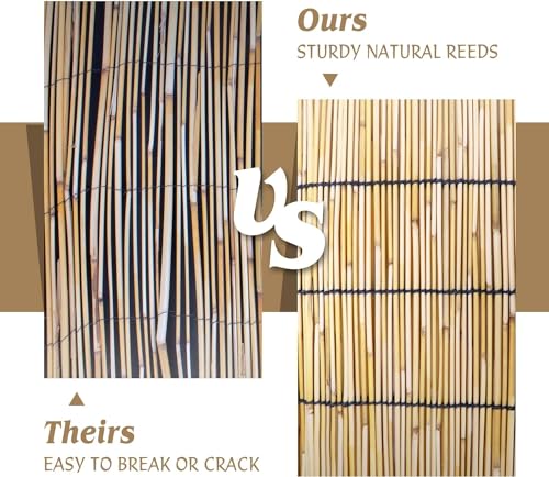 Natural Reed Fencing Roll 6FTx16.4FT Privacy Screen for Patio