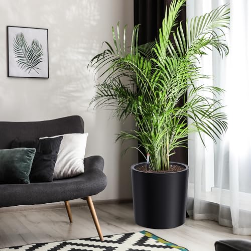 Tall Round Planter Set of 2 (2 Count)
